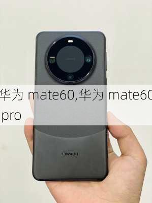 华为 mate60,华为 mate60 pro