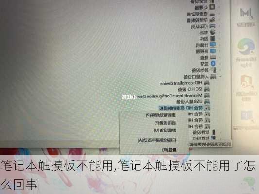 笔记本触摸板不能用,笔记本触摸板不能用了怎么回事